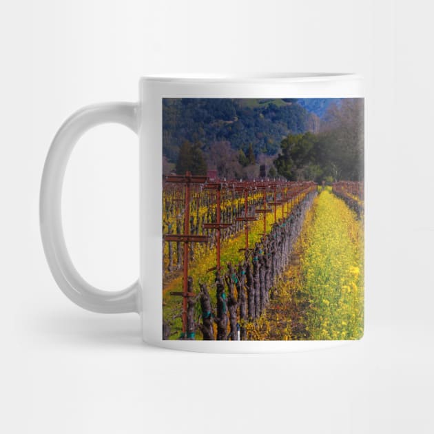 Sonoma Mustard Vineyards by photogarry